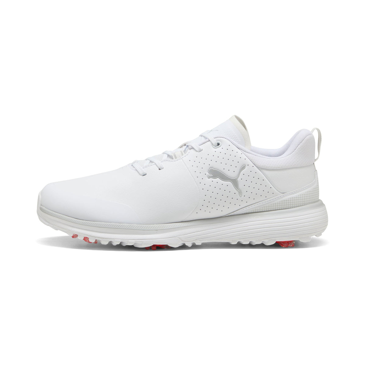 Puma White / Puma Silver / Ash Gray,7