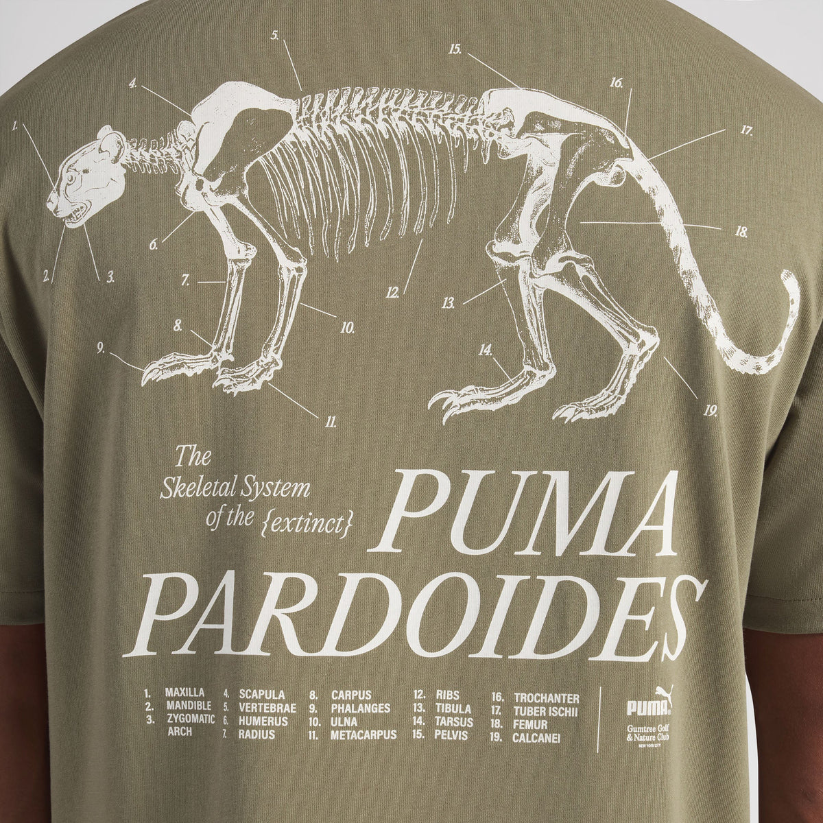 Gumtree Golf & Nature Club Pardoides Performance Tee | Puma Golf Hot Sale